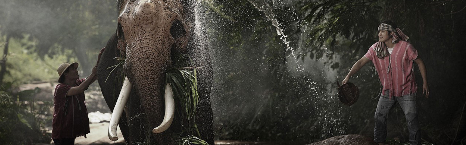 ศูนย์สุขภาพครบวงจร สำหรับผู้ที่มองหาการดูแลสุขภาพแบบองค์รวม