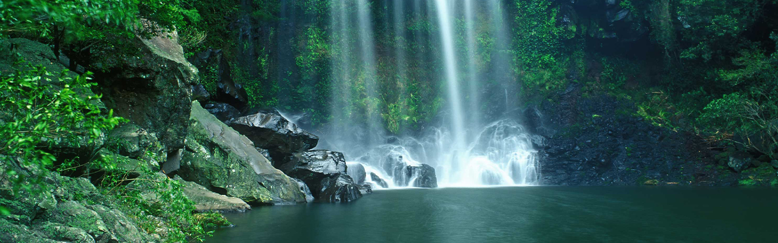 ศูนย์สุขภาพครบวงจร สำหรับผู้ที่มองหาการดูแลสุขภาพแบบองค์รวม