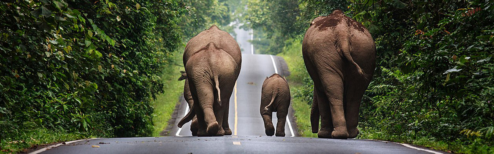 ศูนย์สุขภาพครบวงจร สำหรับผู้ที่มองหาการดูแลสุขภาพแบบองค์รวม